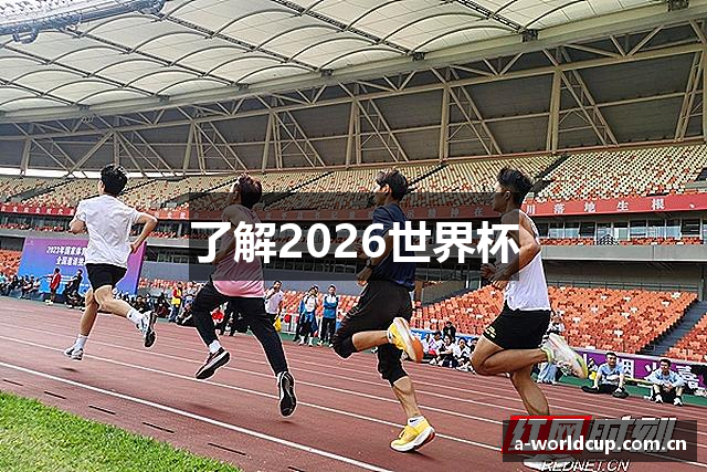 了解2026世界杯